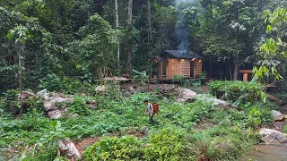 3 Months Gardening, From start to harvest. Bring to the market to buy chicks. 1 Year Living Off Grid