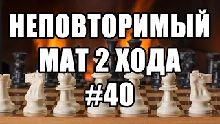 Шахматные задачи мат в 2 хода. Выпуск №40. Решение задач. Шахматы задачи. Мат в два хода.