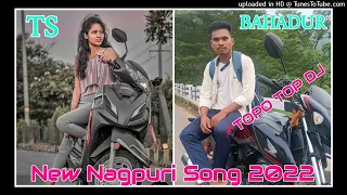 NAGIN PATARKI RANI || NEW NAGPURI  DJ SONG || SINGAER VINAY & PRITY || NIRAJ & ASAH || TS BAHADUR DJ