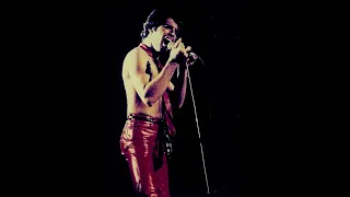 Don't Stop Me Now (Live Hammersmith Odeon 26/12/1979) Ultimate Remaster