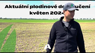 Aktuální plodinové doporučení | květen 2024
