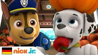 PAW Patrol | Chase hat das Sagen! | Nick Jr. Deutschland