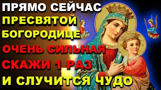 ПРОСТО СКАЖИ БОГОРОДИЦЕ СЕГОДНЯ И КОНЕЦ ВСЕМ ПРОБЛЕМАМ! Молитва Богородице. Православие