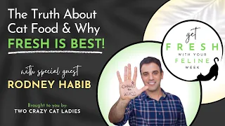 Why Feeding Fresh Matters with Rodney Habib | Get Fresh With Your Feline