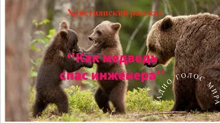 ''Как медведь спас инженера'' - христианский рассказ - читает Светлана Гончарова