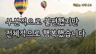 좋은 어른이 되고 싶은 내게 던지는 인생의 질문들 [지금보다 괜찮은 어른]