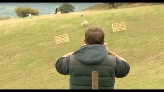 Sheepdog Trial - A Way with Dogs Episode 1