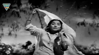 Hawa Mein Udta Video Song || Barsaat Hindi Movie || Nargis, Raj Kapoor || Bollywood Video Songs