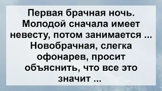 Первая Брачная Ночь. Молодой Имеет Невесту! Свежие Анекдоты Для Супер Настроения! Юмор и Позитив!