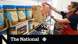 Food bank use hits all-time high in Canada