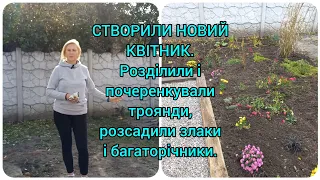 Квітник РОЗАРІЙ і ЗЛАКОВІ ТРАВИ з Нуля за Копійки завершено#квіти#квітник#розарій#україномовнийютуб