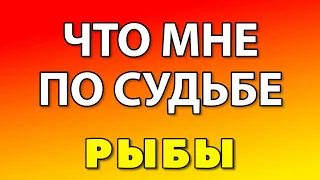 РЫБЫ. ЧТО МНЕ ПО СУДЬБЕ В БЛИЖАЙШЕМ МЕСЯЦЕ? ДЕКАБРЬ 2021|ПРОГНОЗ ТАРО ДЛЯ ВСЕХ ЗНАКОВ|ГАДАНИЕ ОНЛАЙН