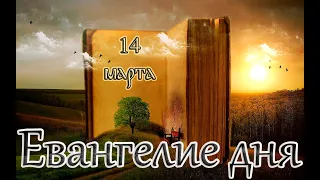 Евангелие и Святые дня. Апостол. Седмица cырная (масленица) - сплошная. (14.03.24)