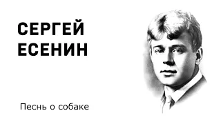 Сергей Есенин Песнь о собаке Учить стихи легко Аудио Стихи Слушать Онлайн