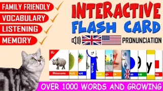 THOUSANDS OF PICTURE & BRITISH / AMERICAN ENGLISH PRONUNCIATION SOUND FLASH CARDS FOR KID / ADULT