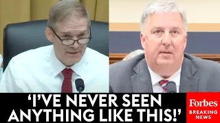 Jim Jordan Presses Witness About Alleged 'Lawfare At Its Worst' During Weaponization Hearing