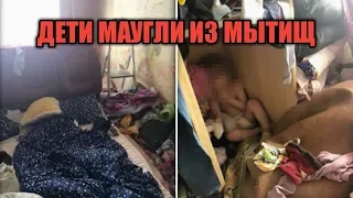 4 детеныша маугли из Мытищ