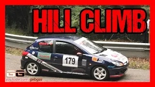 Peugeot 206 S16 - Vianney SICHLER - HILL CLIMB - 2013 - Turckheim-Trois Epis