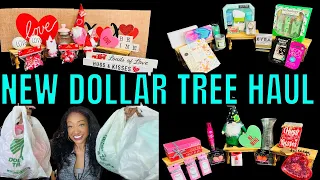 ALL NEW DOLLAR TREE HAUL AMAZING NEW ITEMS | NEW DOLLAR TREE FINDS 2023 | MUST SEE