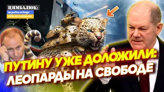 🐆 В бункере прошло совещание: Путину доложили о возможном танковом прорыве в Белгородской области