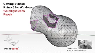 Rhino 8 - Watertight Mesh Repair