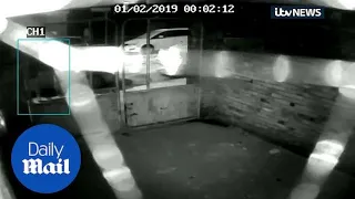 CCTV clip shows activity before Libby Squire was last seen