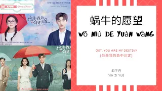 Wo Niu De Yuan Wang 蜗牛的愿望 - 印子月 OST. You Are My Destiny 《你是我的命中注定》 PINYIN LYRIC