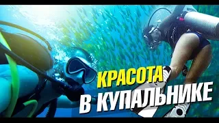 Красавица одна в купальнике под водой и большая стая рыб. Стихия на островах. Лайф влог. Дайвинг