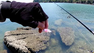 Micro Lure Fishing Challenge