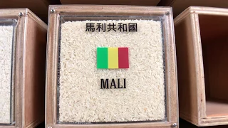 馬利共和國米 Mali Rice