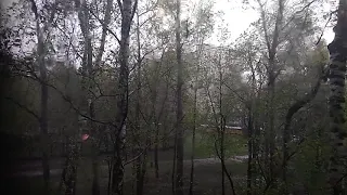 Гроза в Москве!  Уроганный ветер!