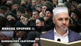 Мавлид пророка Мухаммада ﷺ.Отважные кавказцы в истерике.Мечети были превращены в свинарню.