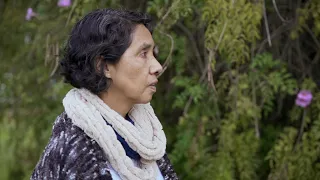 Mentes del Perú: Norma Salinas