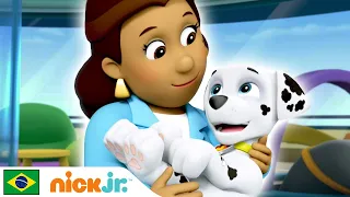 Patrulha Canina | Hora dos filhotes! - parte 2 | Nick Jr. em Português