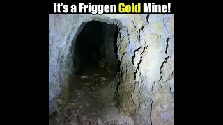 I found a REAL, actual GOLD mine!