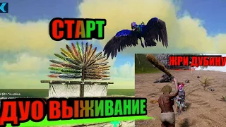 Дуо выживание на пвп сервере ( старт) арк мобайл / ark mobile duo ( fresh start)