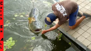 MONSTER FISH We should NOT have CAUGHT!