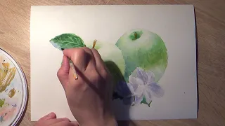 Как нарисовать реалистичное яблоко акварелью. Демонстрация процесса рисования зеленого яблока