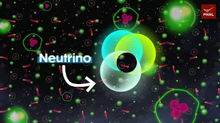 How can scientists weigh a neutrino?