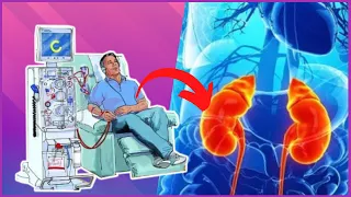 INSUFICIÊNCIA RENAL - Causas, Sintomas e Tratamento