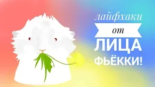 Лайфхаки для морских свинок!