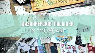 Дизайнерская посылка  #3 от Muscari / Обзор материалов / Скрапбукинг