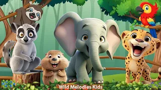 Happy Animal Moment: Beaver, Elephant, Lemur, Parrot, Leopard - Animal videos