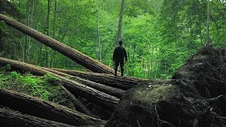 Лес призраков: Сатор — Русский трейлер 2021 года!