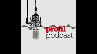 profil-Talk: Die Buberl-Chatprotokolle - profil-Podcast