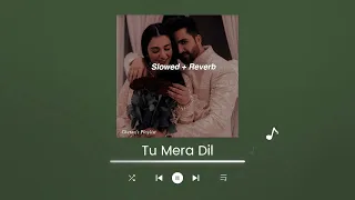 Tu Mera Dil | Falak Shabir | Slowed & Reverb | Chetan's Playlist