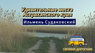 Природа Астраханской области. Ильмень Судаковский. Красивое место для рыбалки и пикников за городом