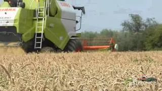 Żniwa 2014 - Pszenica - Claas Tucano 430, John Deere 6930P, JD6330P, JD5720 *Podkarpacie* GR Sanocki