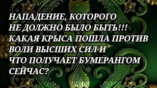 🔥🤬 НАПАДЕНИЕ, КОТОРОГО НЕ ДОЛЖНО БЫЛО БЫТЬ!!!! КАКАЯ КРЫСА ПОШЛА ПРОТИВ ВОЛИ ВЫСШИХ?! #magic #tarot