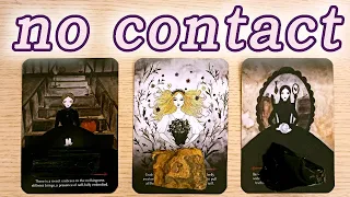 NO CONTACT!  THEIR FEELINGS, THOUGHTS, ACTIONS!  PICK A CARD TIMELESS TAROT READING